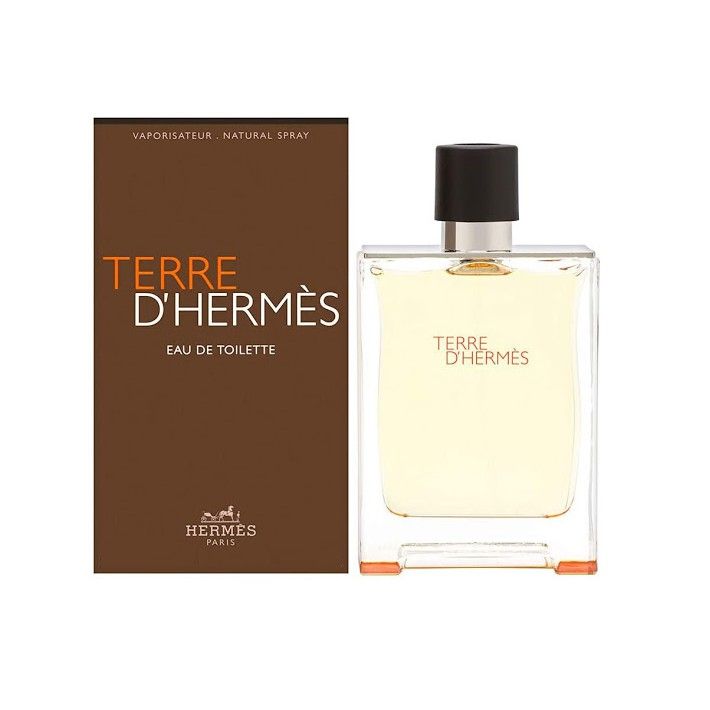 Terre D' Hermes EDT 100ml